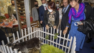 Tarım Fuarı'nın yıldızı Karaburun Karakeçisi…