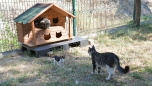 Can dostlara Çiğli'den yardım eli