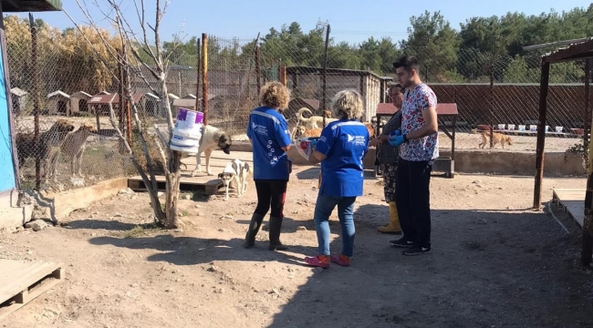 Konak'tan Şopengazi'nin can dostlarına yardım eli