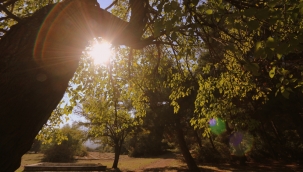 Saruhanlı'yı sınıf atlatacak yatırım!