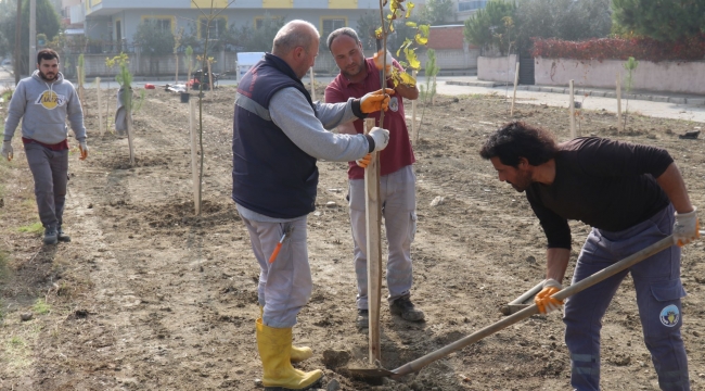 Turgutlu'da fidanlar toprakla buluşuyor