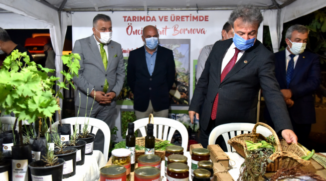 Bornova'da zeytin yetiştirme teknikleri eğitimi