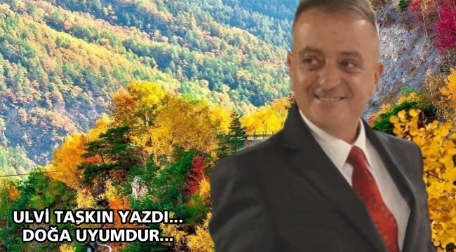 Doğa uyumdur...