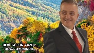 Doğa uyumdur...