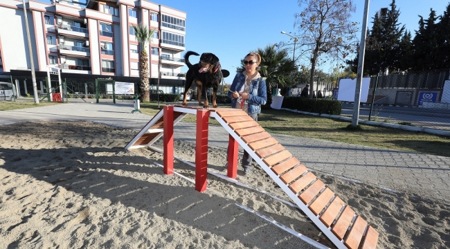 Gaziemir'de köpeklere özel park açıldı