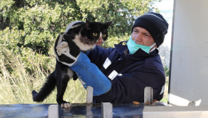 Başı sıkışan can dosta yardım eli