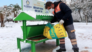Denizli Büyükşehir can dostları da unutmadı 