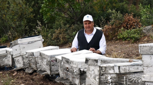 Yunusemre Belediyesi arı kovanı desteğinde bulunacak