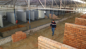Saruhanlı Belediyesi yeni hayvan bakımevi inşa ediyor