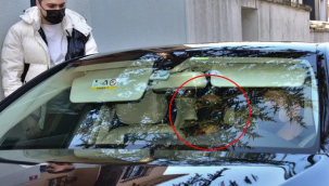 Tarkan'a 'mega' önlem! 