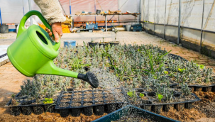 Başkan Yetişkin; "Tohumun değerini bir kez daha anladık"