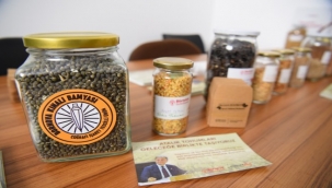 Bornova'nın tohumları postayla Türkiye'ye yayılıyor