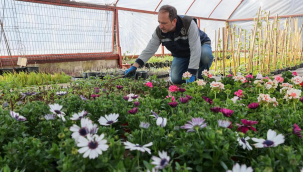 Buca kendi çiçeğini yetiştiriyor