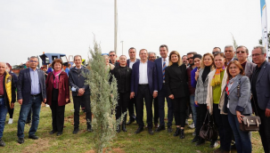 "Hedef yeşil bir ayvalık"