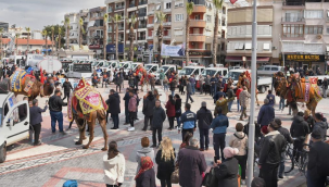 Menemen'de deve gösterisi heyecanı