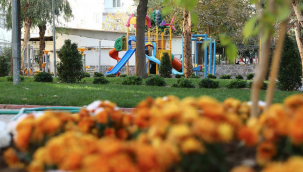 Bayraklı'nın yeşil oranı artıyor  