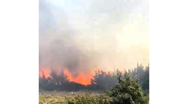 Çeşme Çiftlikköy'de yangın etkisini arttırdı