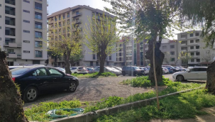 Halkla yönetime örnek model