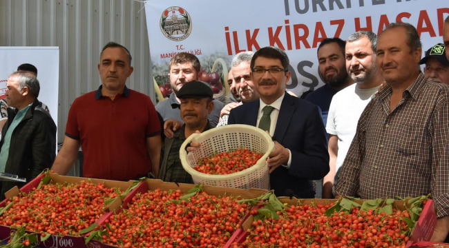 Yılın ik kirazı 700 TL'ye satıldı