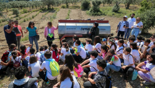Bucalı çocuklardan zeytin fidanı dikimi