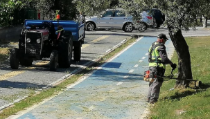Edremit'te bahar bakımı!