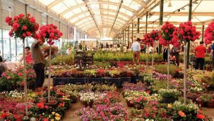 Karşıyaka çiçek açıyor