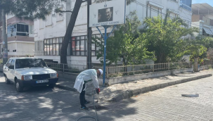 Sineksiz bir Edremit için..