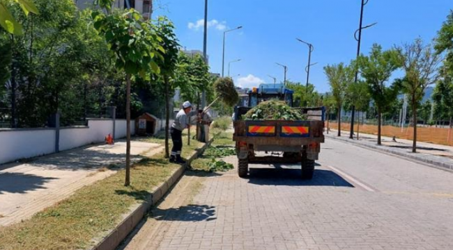 Yunusemlre'de ot biçme çalışması!