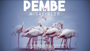 Çiğli'nin "Pembe Misafirleri" 10 festivalde ödüle aday