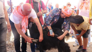 Karaburun dağlarında "Kırkım" coşkusu