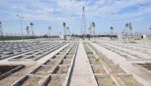 İzmir'in ilk hayvan mezarlığında doluluk oranı yüzde 35'e ulaştı