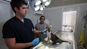 Narlıdere Belediyesi'nden can dostlara yardım eli 