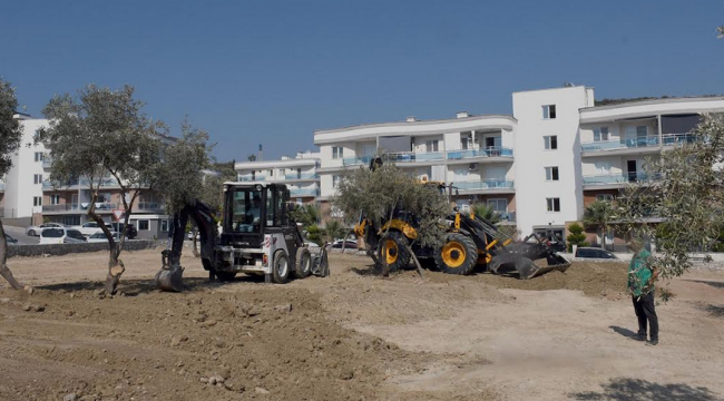 Ada'da yeşil alan artıyor