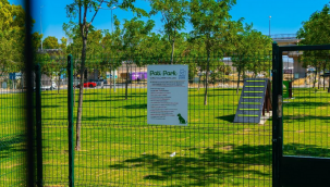 Çeşme'de Başkan Oran'dan hayvanseverlere müjde!