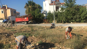 Cunda'da yaz temizliği devam ediyor