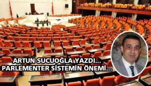 Parlamenter sistemin önemi ? 