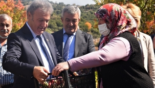 Tarlalarda kurban bereketi