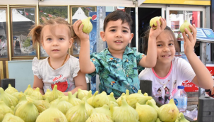 Torbalı Belediyesi'nden Bardacık İnciri Festivali