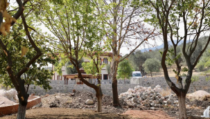 Yunusemre Belediyesi Çapaçarık Türbesi'nde restorasyona başladı 