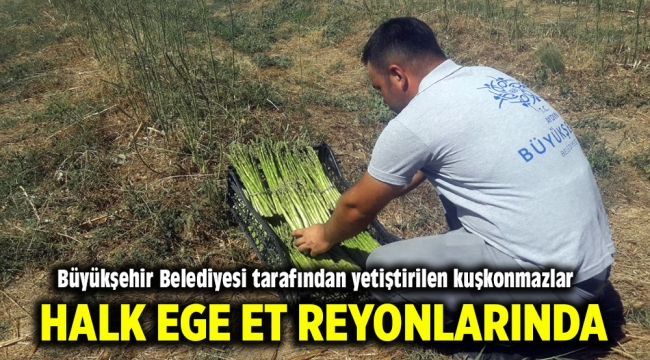 Büyükşehir Belediyesi Tarafından yetiştirilen kuşkonmazlar Halk Ege Et Reyonlarında