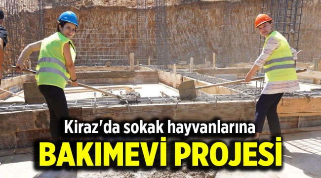 Kiraz'da sokak hayvanlarına bakımevi projesi