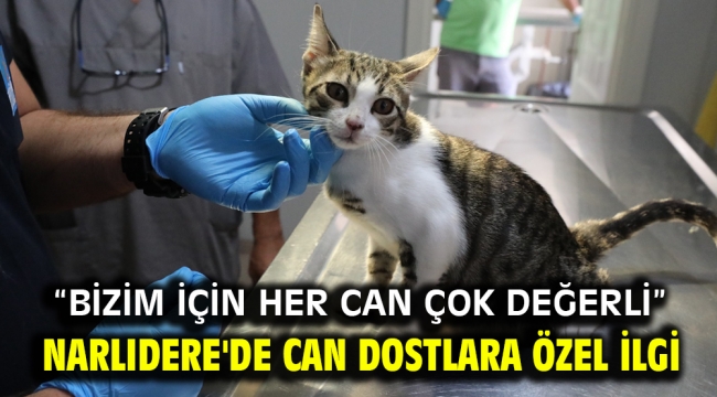 Narlıdere'de can dostlara özel ilgi