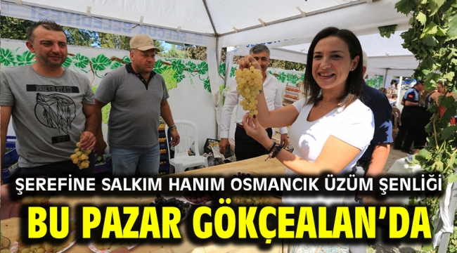 ŞEREFİNE SALKIM HANIM OSMANCIK ÜZÜM ŞENLİĞİ BU PAZAR GÖKÇEALAN'DA