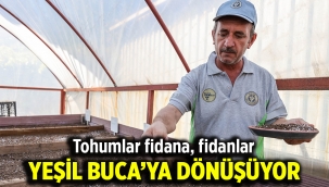 Tohumlar fidana, fidanlar yeşil Buca'ya dönüşüyor