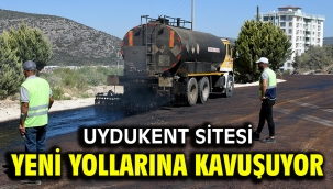 UYDUKENT SİTESİ YENİ YOLLARINA KAVUŞUYOR