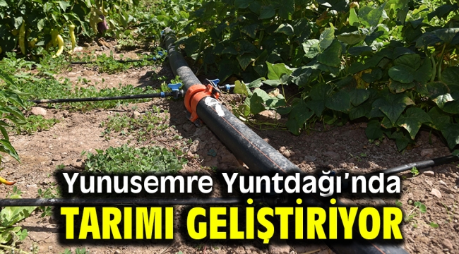 Yunusemre Yuntdağı'nda tarımı geliştiriyor