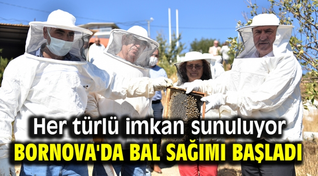 Bornova'da bal sağımı başladı