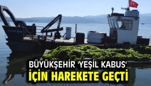 Büyükşehir 'yeşil kabus' için harekete geçti