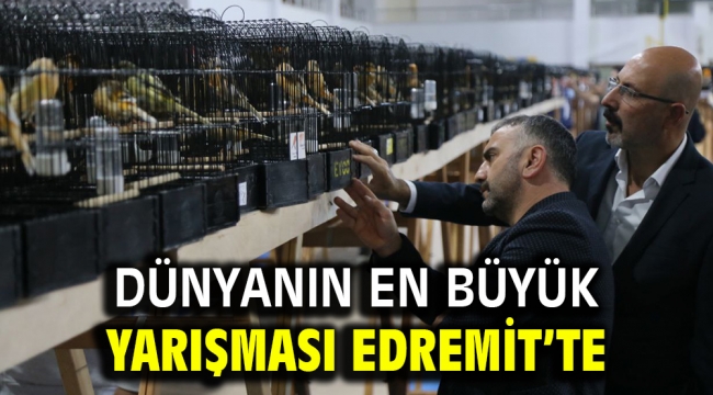 Dünyanın en büyük yarışması Edremit'te