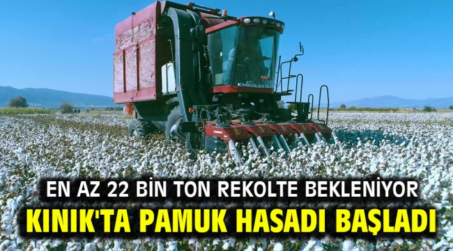 KINIK'TA PAMUK HASADI BAŞLADI